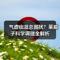 气虚痰湿总困扰?莱菔子科学调理全解析(图3) 气虚痰湿总困扰?莱菔子科学调理全解析(图3)