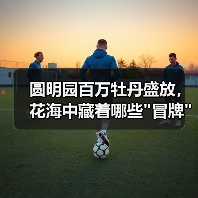 圆明园百万牡丹盛放,花海中藏着哪些 圆明园百万牡丹盛放,花海中藏着哪些