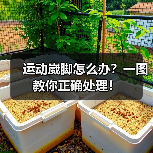 运动崴脚怎么办？一图教你正确处理！（图3）
