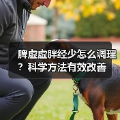 脾虚虚胖经少怎么调理？科学方法有效改善
