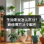 生抽老抽怎么区分？正确使用方法全解析（图2）