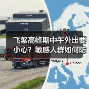 飞絮高峰期中午外出要小心？敏感人群如何防护？（图2）
