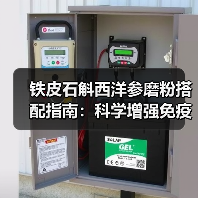 铁皮石斛西洋参磨粉搭配指南:科学增强免疫力降火解乏的正确方式(图4) 铁皮石斛西洋参磨粉搭配指南:科学增强免疫力降火解乏的正确方式(图4)