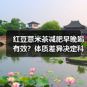红豆薏米茶减肥早晚喝有效?体质差异决定科学饮用时间(图4) 红豆薏米茶减肥早晚喝有效?体质差异决定科学饮用时间(图4)