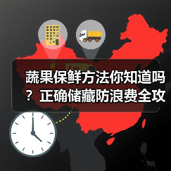 蔬果保鲜方法你知道吗?正确储藏防浪费全攻略(图4) 蔬果保鲜方法你知道吗?正确储藏防浪费全攻略(图4)