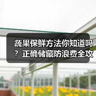 蔬果保鲜方法你知道吗?正确储藏防浪费全攻略(图2) 蔬果保鲜方法你知道吗?正确储藏防浪费全攻略(图2)