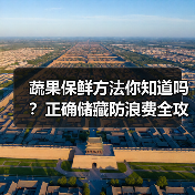 蔬果保鲜方法你知道吗?正确储藏防浪费全攻略(图3) 蔬果保鲜方法你知道吗?正确储藏防浪费全攻略(图3)