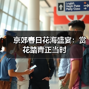 京郊春日花海盛宴：赏花踏青正当时（图2）