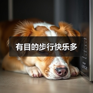 有目的步行快乐多(图3) 有目的步行快乐多(图3)