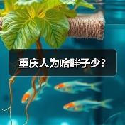 重庆人为啥胖子少?(图3) 重庆人为啥胖子少?(图3)