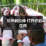快来做拉伸 打开你的减压阀(图2) 快来做拉伸 打开你的减压阀(图2)