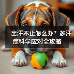 出汗不止怎么办？多汗症科学应对全攻略（图3）