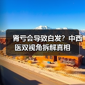肾亏会导致白发?中西医双视角拆解真相(图4) 肾亏会导致白发?中西医双视角拆解真相(图4)