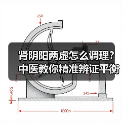 肾阴阳两虚怎么调理?中医教你精准辨证平衡身体(图2) 肾阴阳两虚怎么调理?中医教你精准辨证平衡身体(图2)