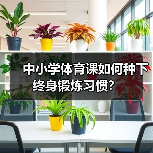中小学体育课如何种下终身锻炼习惯？