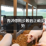 告诉你刷步数的正确姿势(图2) 告诉你刷步数的正确姿势(图2)
