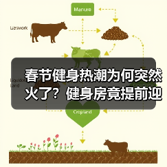春节健身热潮为何突然火了？健身房竟提前迎旺季？（图3）