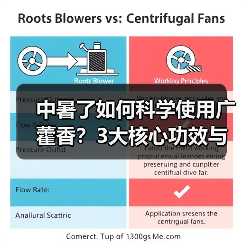 中暑了如何科学使用广藿香?3大核心功效与禁忌详解(图2) 中暑了如何科学使用广藿香?3大核心功效与禁忌详解(图2)