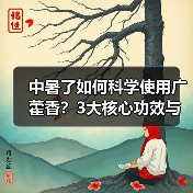 中暑了如何科学使用广藿香？3大核心功效与禁忌详解