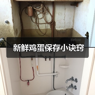 新鲜鸡蛋保存小诀窍(图3) 新鲜鸡蛋保存小诀窍(图3)
