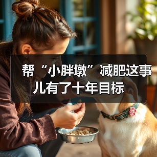 帮“小胖墩”减肥这事儿有了十年目标(图2) 帮“小胖墩”减肥这事儿有了十年目标(图2)