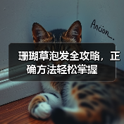 珊瑚草泡发全攻略,正确方法轻松掌握(图4) 珊瑚草泡发全攻略,正确方法轻松掌握(图4)