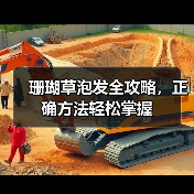珊瑚草泡发全攻略，正确方法轻松掌握