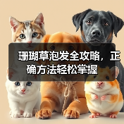 珊瑚草泡发全攻略,正确方法轻松掌握(图2) 珊瑚草泡发全攻略,正确方法轻松掌握(图2)