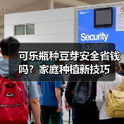 可乐瓶种豆芽安全省钱吗？家庭种植新技巧（图4）