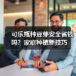可乐瓶种豆芽安全省钱吗？家庭种植新技巧（图3）