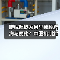 膀胱湿热为何导致腰腹痛与便秘？中医机制解析与调理建议（图2）
