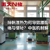 膀胱湿热为何导致腰腹痛与便秘？中医机制解析与调理建议（图3）