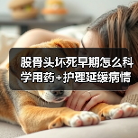 股骨头坏死早期怎么科学用药+护理延缓病情进展?权威指南解析(图3) 股骨头坏死早期怎么科学用药+护理延缓病情进展?权威指南解析(图3)