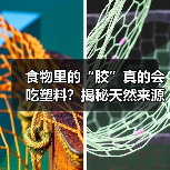 食物里的“胶”真的会吃塑料？揭秘天然来源与食品添加剂真相