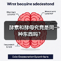 酵素和酵母究竟是同一种东西吗?(图4) 酵素和酵母究竟是同一种东西吗?(图4)