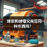 酵素和酵母究竟是同一种东西吗？