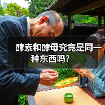 酵素和酵母究竟是同一种东西吗?(图2) 酵素和酵母究竟是同一种东西吗?(图2)