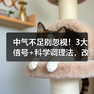 中气不足别忽视！3大信号+科学调理法，改善不适（图3）
