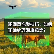 珊瑚草泡发技巧：如何正确处理海底燕窝？（图1）