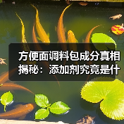方便面调料包成分真相揭秘:添加剂究竟是什么?(图3) 方便面调料包成分真相揭秘:添加剂究竟是什么?(图3)
