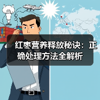 红枣营养释放秘诀:正确处理方法全解析(图3) 红枣营养释放秘诀:正确处理方法全解析(图3)