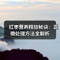 红枣营养释放秘诀:正确处理方法全解析(图4) 红枣营养释放秘诀:正确处理方法全解析(图4)