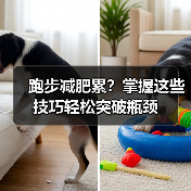 跑步减肥累？掌握这些技巧轻松突破瓶颈（图3）