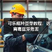 可乐瓶种豆芽教程，远离毒豆芽危害（图2）