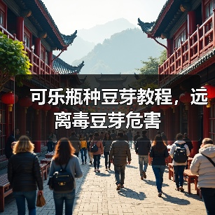 可乐瓶种豆芽教程，远离毒豆芽危害