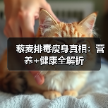 藜麦排毒瘦身真相:营养+健康全解析(图4) 藜麦排毒瘦身真相:营养+健康全解析(图4)
