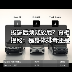 拔罐后频繁放屁?真相揭秘:是身体排毒还是正常反应?(图2) 拔罐后频繁放屁?真相揭秘:是身体排毒还是正常反应?(图2)