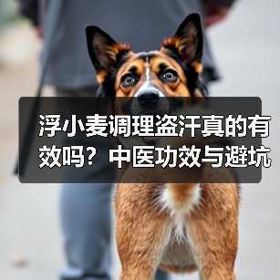 浮小麦调理盗汗真的有效吗?中医功效与避坑指南(图1) 浮小麦调理盗汗真的有效吗?中医功效与避坑指南(图1)