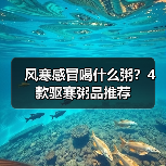风寒感冒喝什么粥?4款驱寒粥品推荐(图3) 风寒感冒喝什么粥?4款驱寒粥品推荐(图3)