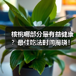 核桃哪部分最有益健康？最佳吃法时间揭晓！（图4）